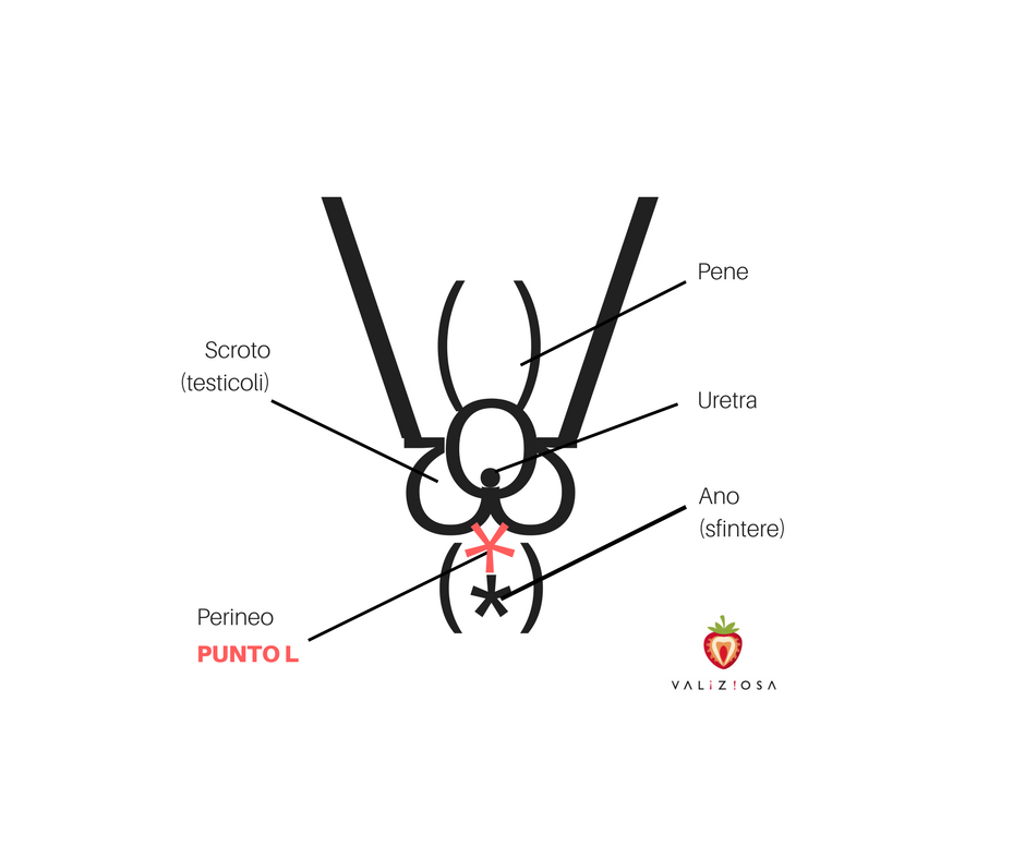 scopri come stimolare il punto L