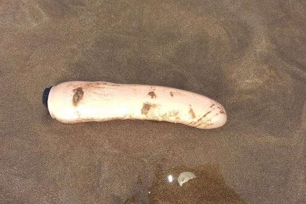 dldo trasportati dal mare