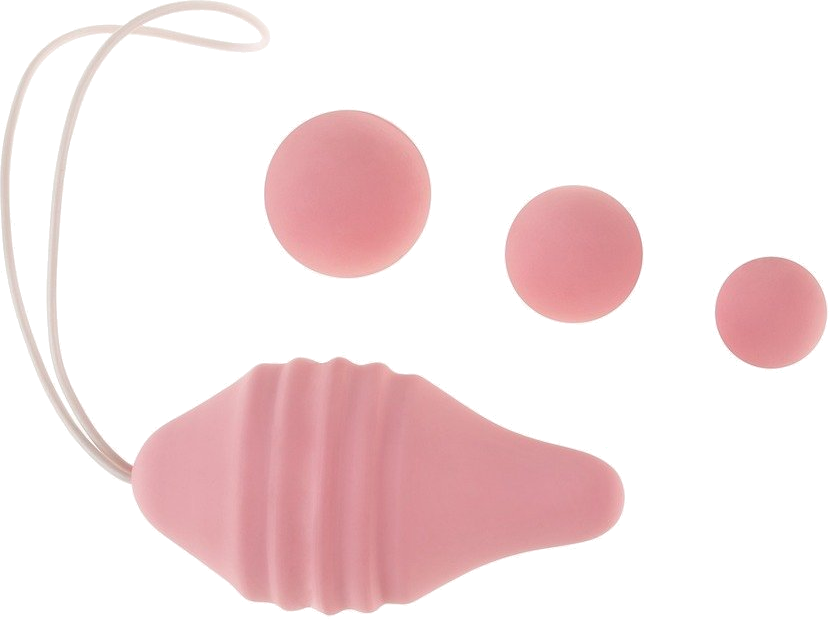 Pelvix