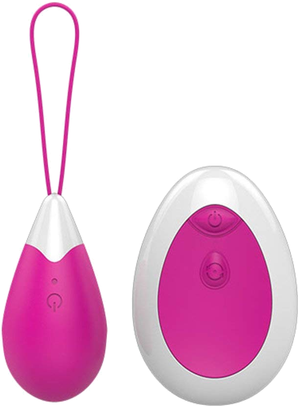 Remote Control Egg