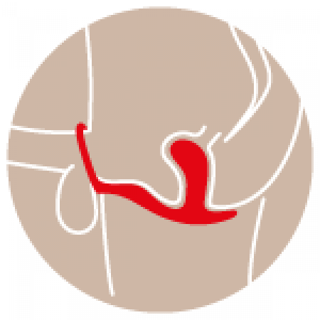 Butt plug con cockring Bootie Ring Fun Factory