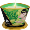 Shunga Erotic Art Zenitude - The Verde